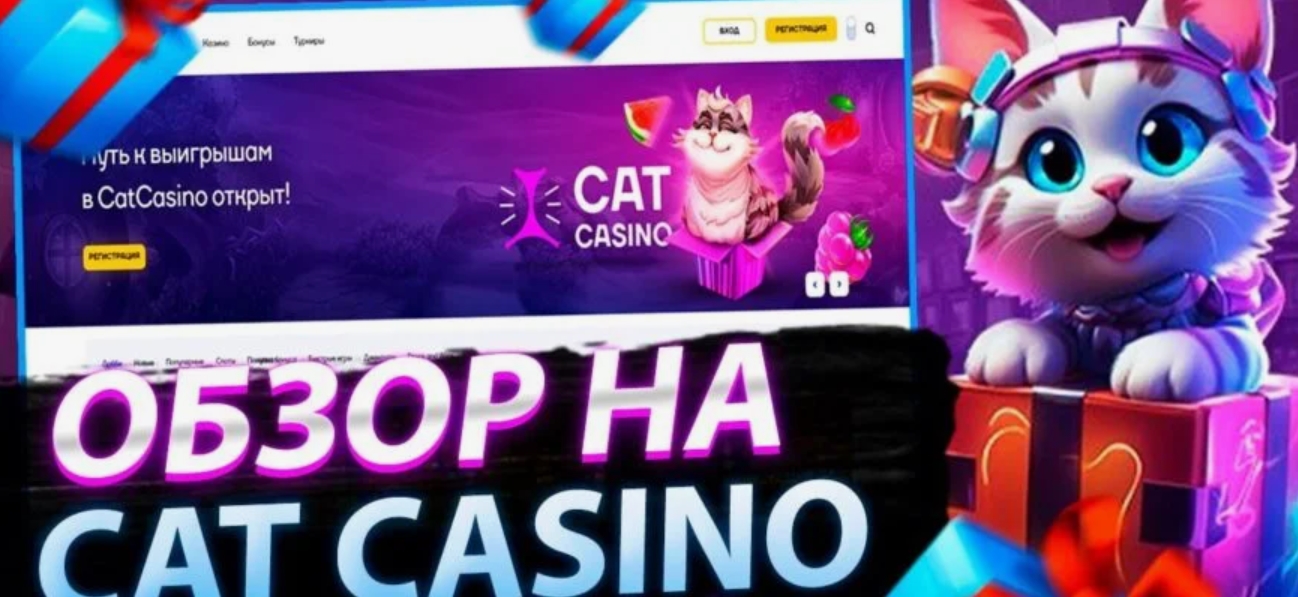 Промокоды Cat casino и эксклюзивные ваучеры